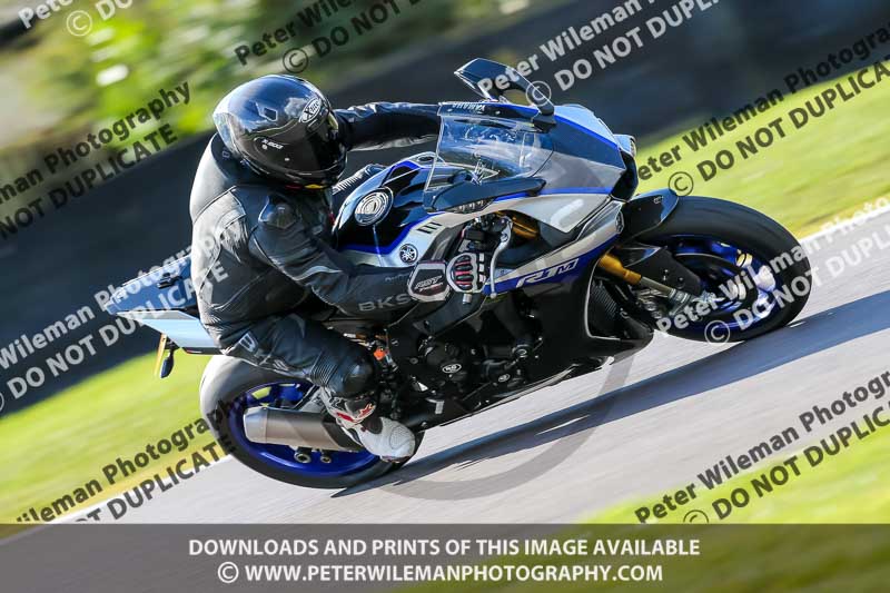 Oulton Park 20th March 2020;PJ Motorsport Photography 2020;anglesey;brands hatch;cadwell park;croft;donington park;enduro digital images;event digital images;eventdigitalimages;mallory;no limits;oulton park;peter wileman photography;racing digital images;silverstone;snetterton;trackday digital images;trackday photos;vmcc banbury run;welsh 2 day enduro